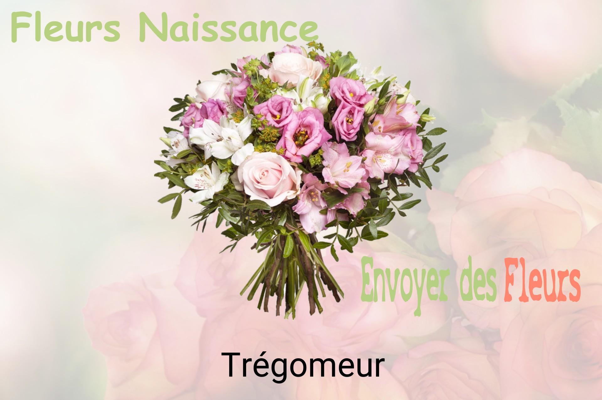 Bouquet de fleurs de naissance livré à Trégomeur